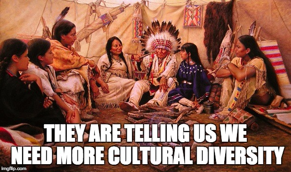 THEY ARE TELLING US WE NEED MORE CULTURAL DIVERSITY | image tagged in diversity,indians,immigration | made w/ Imgflip meme maker