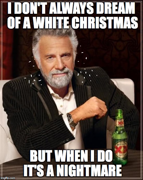 The Most Interesting Man In The World | I DON'T ALWAYS DREAM OF A WHITE CHRISTMAS BUT WHEN I DO IT'S A NIGHTMARE | image tagged in memes,the most interesting man in the world | made w/ Imgflip meme maker