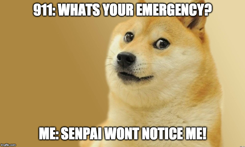 911: WHATS YOUR EMERGENCY? ME: SENPAI WONT NOTICE ME! | image tagged in doge,senpai,911,memes,funny memes,angry doge | made w/ Imgflip meme maker