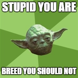 Advice Yoda Meme | STUPID YOU ARE BREED YOU SHOULD NOT | image tagged in memes,advice yoda | made w/ Imgflip meme maker