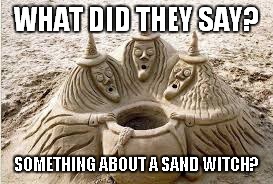 WHAT DID THEY SAY? SOMETHING ABOUT A SAND WITCH? | made w/ Imgflip meme maker