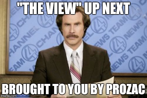 Ron Burgundy Meme | "THE VIEW" UP NEXT BROUGHT TO YOU BY
PROZAC | image tagged in memes,ron burgundy | made w/ Imgflip meme maker
