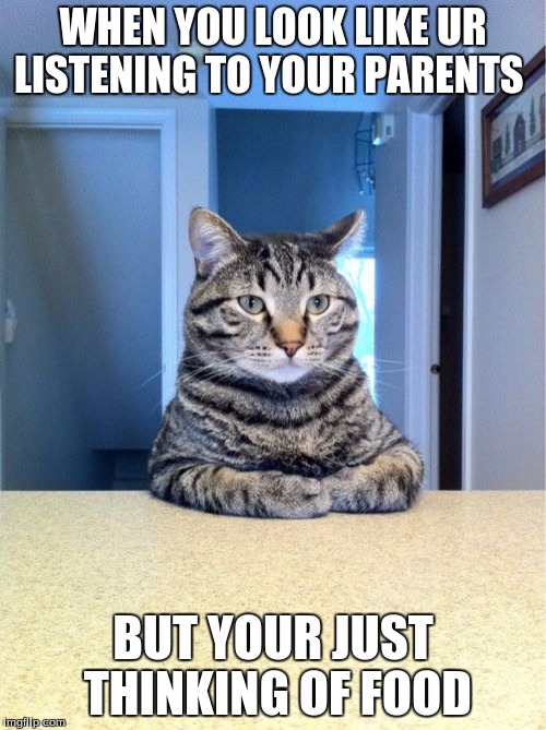 Take A Seat Cat Meme | WHEN YOU LOOK LIKE UR LISTENING TO YOUR PARENTS BUT YOUR JUST THINKING OF FOOD | image tagged in memes,take a seat cat | made w/ Imgflip meme maker