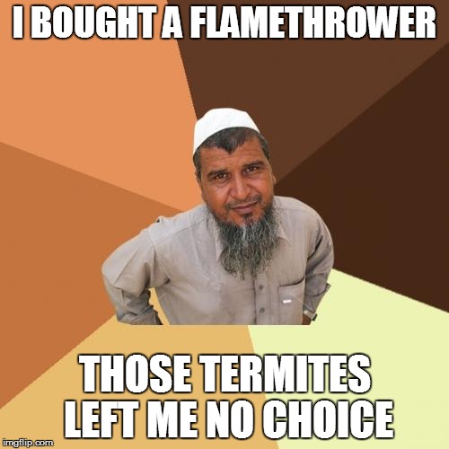 Ordinary Muslim Man Meme | I BOUGHT A FLAMETHROWER THOSE TERMITES LEFT ME NO CHOICE | image tagged in memes,ordinary muslim man | made w/ Imgflip meme maker