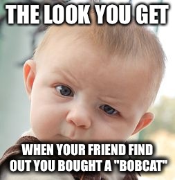 Skeptical Baby | THE LOOK YOU GET WHEN YOUR FRIEND FIND OUT YOU BOUGHT A "BOBCAT" | image tagged in memes,skeptical baby | made w/ Imgflip meme maker