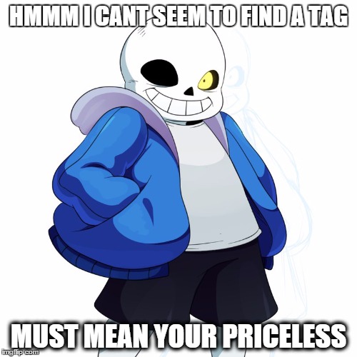 Sans Undertale | HMMM I CANT SEEM TO FIND A TAG MUST MEAN YOUR PRICELESS | image tagged in sans undertale | made w/ Imgflip meme maker