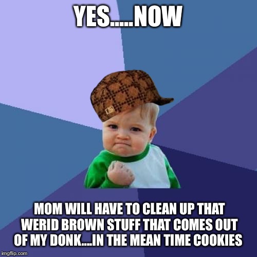 Success Kid | YES.....NOW MOM WILL HAVE TO CLEAN UP THAT WERID BROWN STUFF THAT COMES OUT OF MY DONK....IN THE MEAN TIME COOKIES | image tagged in memes,success kid,scumbag | made w/ Imgflip meme maker