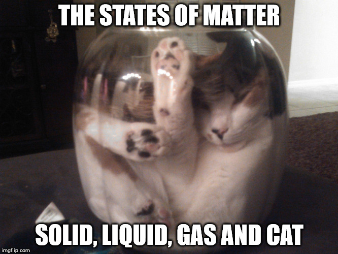 States of Matter | THE STATES OF MATTER SOLID, LIQUID, GAS AND CAT | image tagged in cat,states of matter,cat in a jar | made w/ Imgflip meme maker