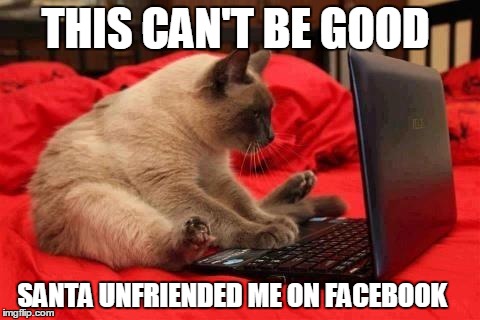 Laptop Cat | THIS CAN'T BE GOOD SANTA UNFRIENDED ME ON FACEBOOK | image tagged in laptop cat | made w/ Imgflip meme maker