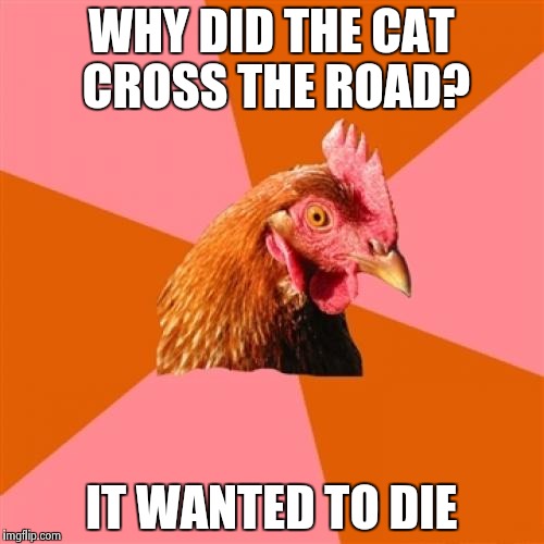 Anti Joke Chicken | WHY DID THE CAT CROSS THE ROAD? IT WANTED TO DIE | image tagged in memes,anti joke chicken | made w/ Imgflip meme maker