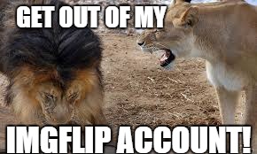 lion yelling | GET OUT OF MY IMGFLIP ACCOUNT! | image tagged in lion yelling | made w/ Imgflip meme maker