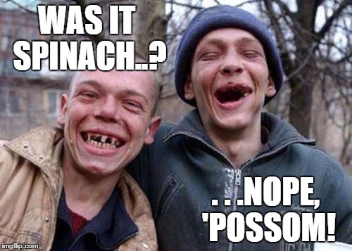 WAS IT SPINACH..? . . .NOPE, 'POSSOM! | made w/ Imgflip meme maker