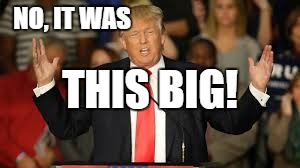 trump aliens | NO, IT WAS THIS BIG! | image tagged in trump aliens | made w/ Imgflip meme maker