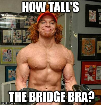 If your friends jumped off a bridge would you jump off too? | HOW TALL'S THE BRIDGE BRA? | image tagged in carrot top lifts,bra,do you even lift | made w/ Imgflip meme maker