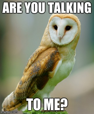 WHAT?!?! I'M TRYING TO TALK TO SOMEONE | ARE YOU TALKING TO ME? | image tagged in owl | made w/ Imgflip meme maker
