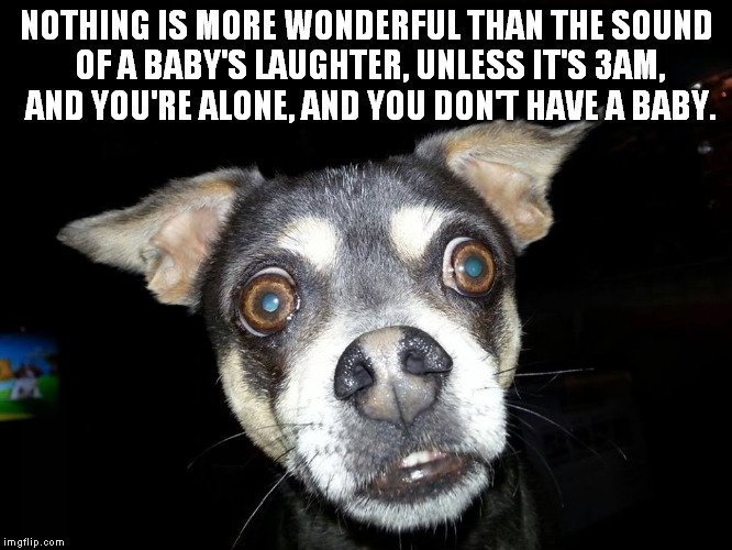 NOTHING IS MORE WONDERFUL THAN THE SOUND OF A BABY'S LAUGHTER, UNLESS IT'S 3AM, AND YOU'RE ALONE, AND YOU DON'T HAVE A BABY. | image tagged in memes,dogs | made w/ Imgflip meme maker
