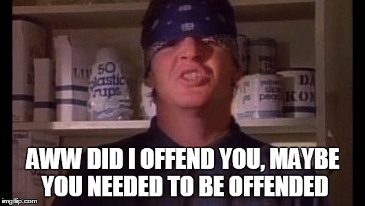 AWW DID I OFFEND YOU, MAYBE YOU NEEDED TO BE OFFENDED | image tagged in mike | made w/ Imgflip meme maker