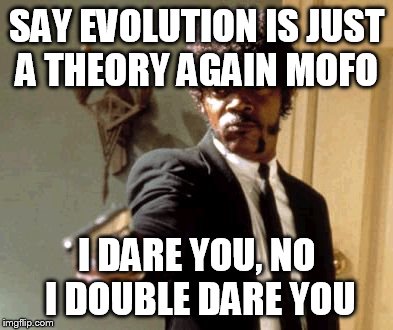 Say That Again I Dare You | SAY EVOLUTION IS JUST A THEORY AGAIN MOFO I DARE YOU, NO I DOUBLE DARE YOU | image tagged in memes,say that again i dare you | made w/ Imgflip meme maker
