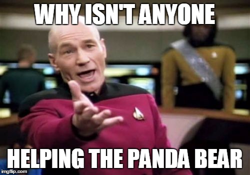 Picard Wtf Meme | WHY ISN'T ANYONE HELPING THE PANDA BEAR | image tagged in memes,picard wtf | made w/ Imgflip meme maker