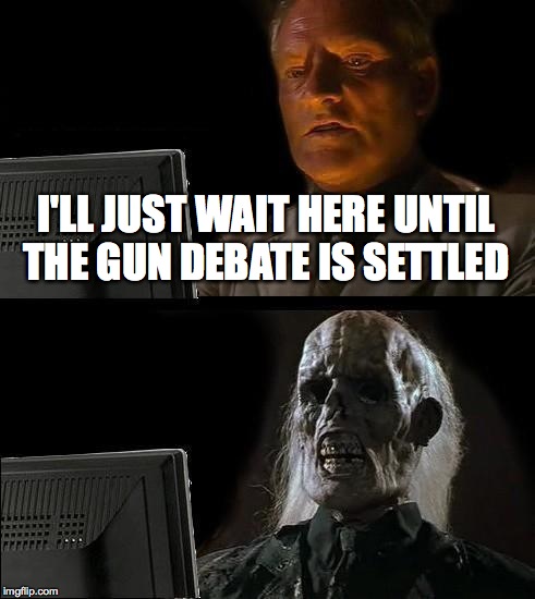 I'll Just Wait Here | I'LL JUST WAIT HERE UNTIL THE GUN DEBATE IS SETTLED | image tagged in memes,ill just wait here | made w/ Imgflip meme maker