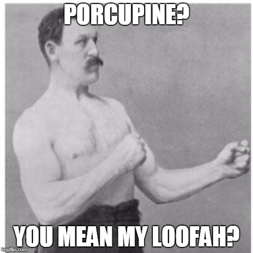 Overly Manly Man | PORCUPINE? YOU MEAN MY LOOFAH? | image tagged in memes,overly manly man | made w/ Imgflip meme maker