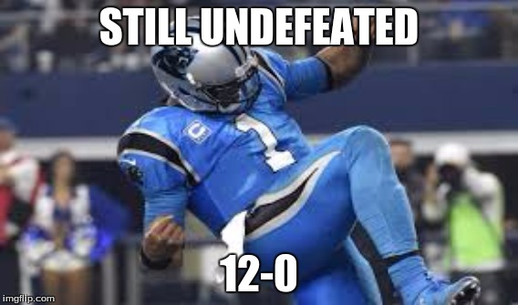 Cam and Carolina Panthers undefeated | STILL UNDEFEATED 12-0 | image tagged in success kid | made w/ Imgflip meme maker