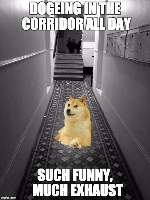 DOGEING IN THE CORRIDORALL DAY SUCH FUNNY, MUCH EXHAUST | image tagged in the doge in an appartment | made w/ Imgflip meme maker