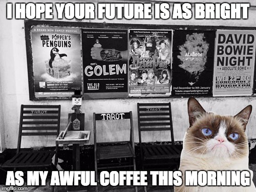 I HOPE YOUR FUTURE IS AS BRIGHT AS MY AWFUL COFFEE THIS MORNING | image tagged in grumpy cat at the docks near volks station | made w/ Imgflip meme maker