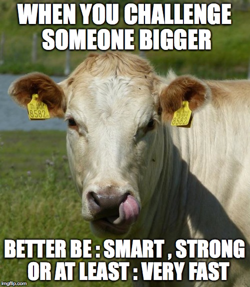 WHEN YOU CHALLENGE SOMEONE BIGGER BETTER BE : SMART , STRONG 
OR AT LEAST : VERY FAST | made w/ Imgflip meme maker