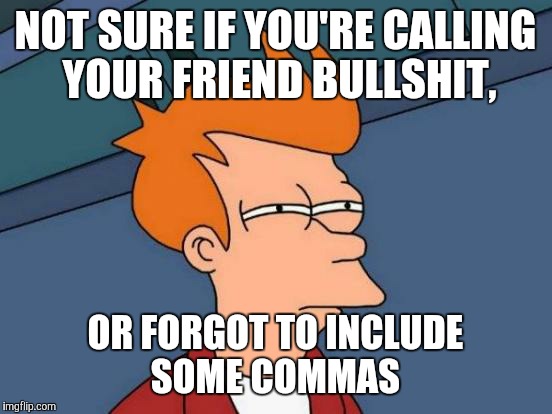 Futurama Fry Meme | NOT SURE IF YOU'RE CALLING YOUR FRIEND BULLSHIT, OR FORGOT TO INCLUDE SOME COMMAS | image tagged in memes,futurama fry | made w/ Imgflip meme maker