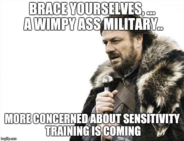 Brace Yourselves X is Coming Meme | BRACE YOURSELVES, ... A WIMPY ASS MILITARY.. MORE CONCERNED ABOUT SENSITIVITY TRAINING IS COMING | image tagged in memes,brace yourselves x is coming | made w/ Imgflip meme maker