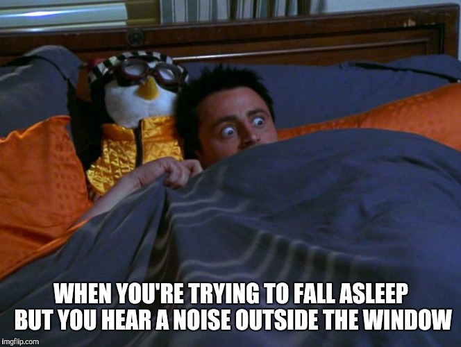 How come you never notice how noisy your house is until it's time to go to bed? | WHEN YOU'RE TRYING TO FALL ASLEEP BUT YOU HEAR A NOISE OUTSIDE THE WINDOW | image tagged in memes,funny memes,sleep,noise,scared | made w/ Imgflip meme maker
