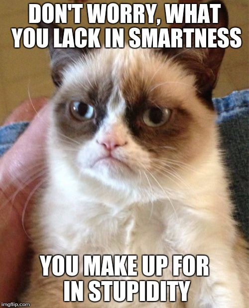 Grumpy Cat | DON'T WORRY, WHAT YOU LACK IN SMARTNESS YOU MAKE UP FOR IN STUPIDITY | image tagged in memes,grumpy cat | made w/ Imgflip meme maker