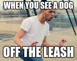 ice jj fish | WHEN YOU SEE A DOG OFF THE LEASH | image tagged in funny,memes | made w/ Imgflip meme maker