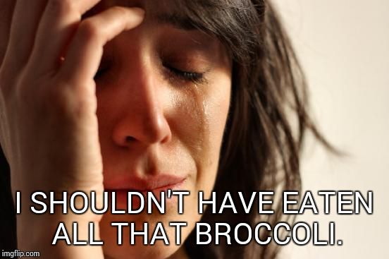 First World Problems Meme | I SHOULDN'T HAVE EATEN ALL THAT BROCCOLI. | image tagged in memes,first world problems | made w/ Imgflip meme maker