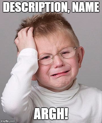 First World Problems Kid | DESCRIPTION, NAME ARGH! | image tagged in first world problems kid | made w/ Imgflip meme maker