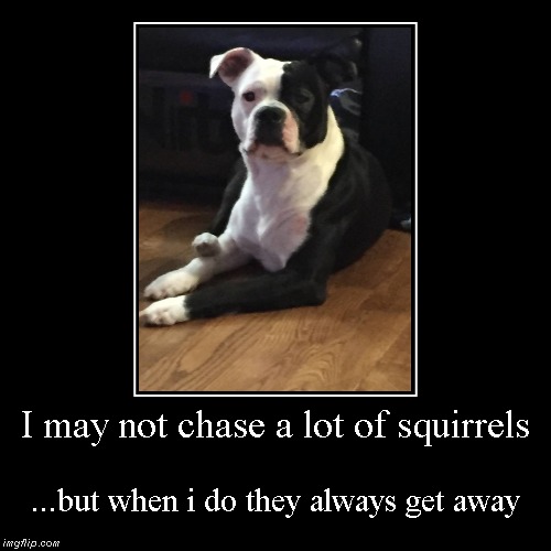 image tagged in funny,demotivationals | made w/ Imgflip demotivational maker