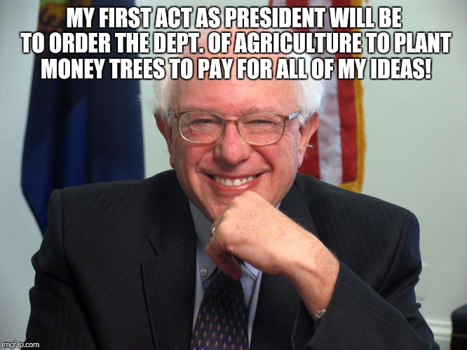 Vote Bernie Sanders | MY FIRST ACT AS PRESIDENT WILL BE TO ORDER THE DEPT. OF AGRICULTURE TO PLANT MONEY TREES TO PAY FOR ALL OF MY IDEAS! | image tagged in vote bernie sanders | made w/ Imgflip meme maker