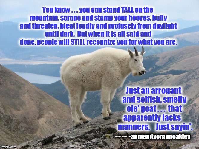 Big, Bad Billy Goat Gruff | You know . . . you can stand TALL on the mountain, scrape and stamp your hooves, bully and threaten, bleat loudly and profusely from dayligh | image tagged in billy goat,goat,mountain,bully,memes | made w/ Imgflip meme maker