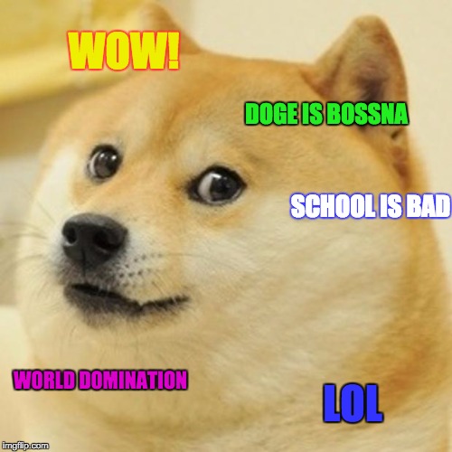 Doge Meme | WOW! DOGE IS BOSSNA SCHOOL IS BAD WORLD DOMINATION LOL | image tagged in memes,doge | made w/ Imgflip meme maker