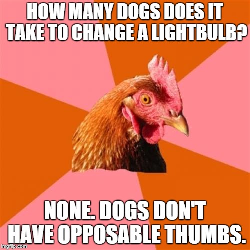 Anti Joke Chicken | HOW MANY DOGS DOES IT TAKE TO CHANGE A LIGHTBULB? NONE. DOGS DON'T HAVE OPPOSABLE THUMBS. | image tagged in memes,anti joke chicken | made w/ Imgflip meme maker