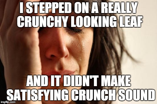 First World Problems | I STEPPED ON A REALLY CRUNCHY LOOKING LEAF AND IT DIDN'T MAKE  SATISFYING CRUNCH SOUND | image tagged in memes,first world problems | made w/ Imgflip meme maker