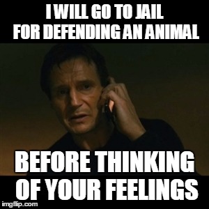 Liam Neeson Taken Meme | I WILL GO TO JAIL FOR DEFENDING AN ANIMAL BEFORE THINKING OF YOUR FEELINGS | image tagged in memes,liam neeson taken | made w/ Imgflip meme maker