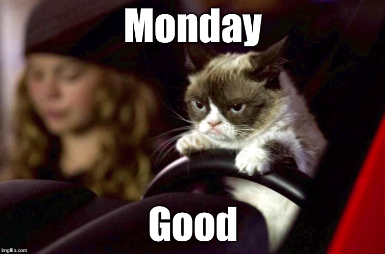 Grumpy Monday | Monday Good | image tagged in grumpy cat,funny memes | made w/ Imgflip meme maker