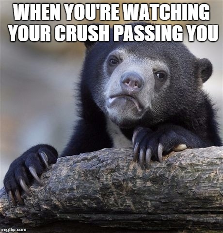 Confession Bear | WHEN YOU'RE WATCHING YOUR CRUSH PASSING YOU | image tagged in memes,confession bear | made w/ Imgflip meme maker