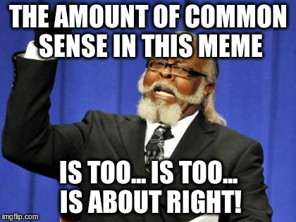 Too Damn High Meme | THE AMOUNT OF COMMON SENSE IN THIS MEME IS TOO... IS TOO... IS ABOUT RIGHT! | image tagged in memes,too damn high | made w/ Imgflip meme maker