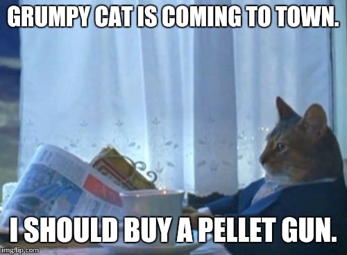 I Should Buy A Boat Cat Meme | GRUMPY CAT IS COMING TO TOWN. I SHOULD BUY A PELLET GUN. | image tagged in memes,i should buy a boat cat | made w/ Imgflip meme maker