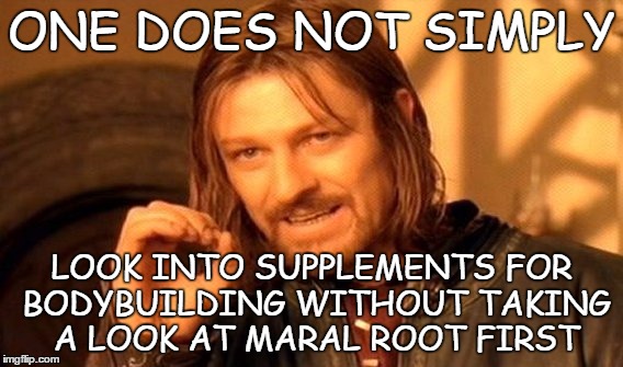 One Does Not Simply Meme | ONE DOES NOT SIMPLY LOOK INTO SUPPLEMENTS FOR BODYBUILDING WITHOUT TAKING A LOOK AT MARAL ROOT FIRST | image tagged in memes,one does not simply | made w/ Imgflip meme maker