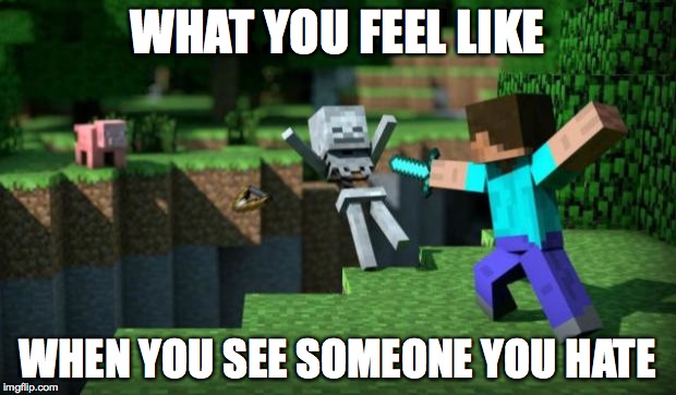 minecraft swordsman  | WHAT YOU FEEL LIKE WHEN YOU SEE SOMEONE YOU HATE | image tagged in minecraft swordsman  | made w/ Imgflip meme maker