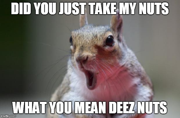 Esquilo | DID YOU JUST TAKE MY NUTS WHAT YOU MEAN DEEZ NUTS | image tagged in esquilo | made w/ Imgflip meme maker